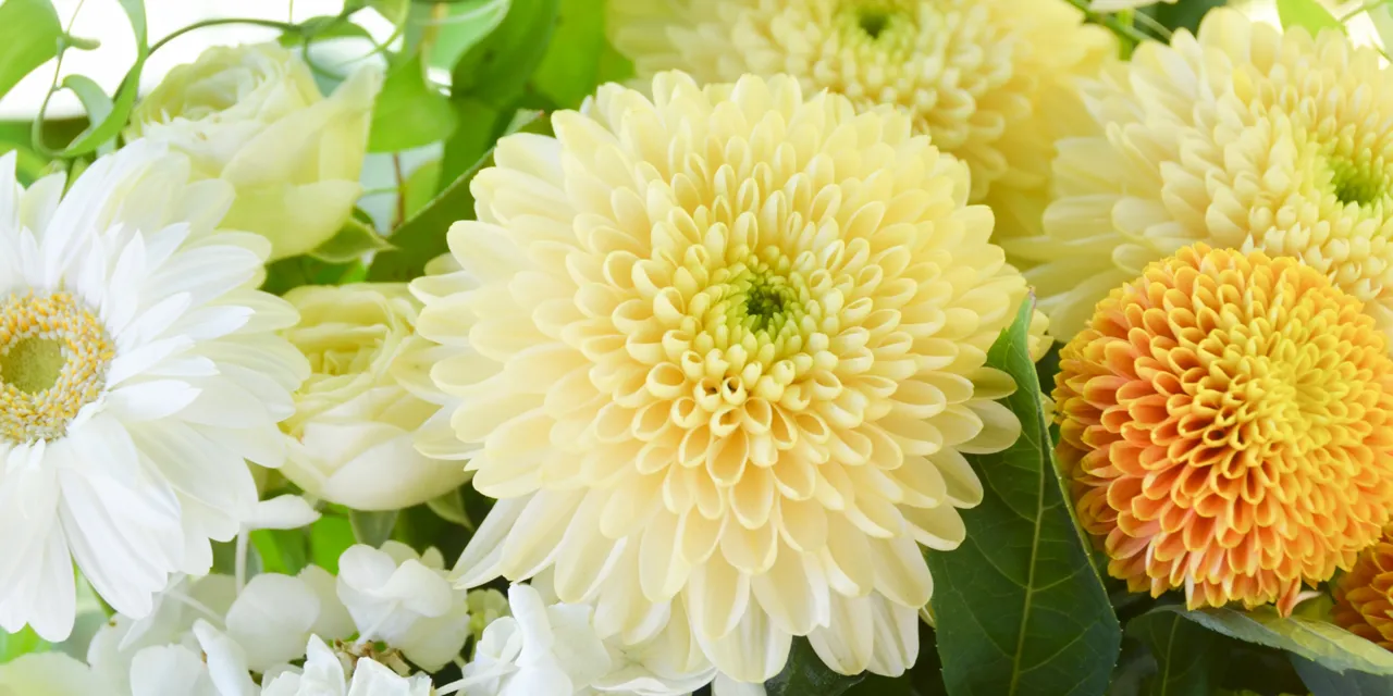 生花申込の外観